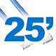 25ft Cat 6A Patch Cable - Bridge Wholesale