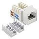 110 Punch Down Type Keystone Jacks for Data or Telco - Bridge Wholesale