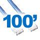 100ft Cat 5E Ethernet Patch Cable - Bridge Wholesale