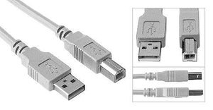 USB Cable A Male to B Male (USB 2.0) - Bridge Wholesale
